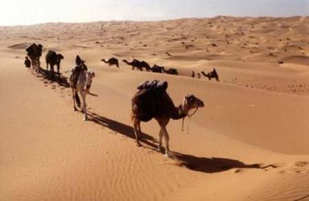 sahara